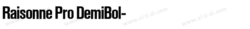 Raisonne Pro DemiBol字体转换